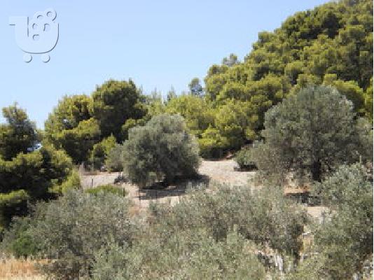 Οικόπεδο σε ήσυχη περιοχή με απεριόριστη θέα